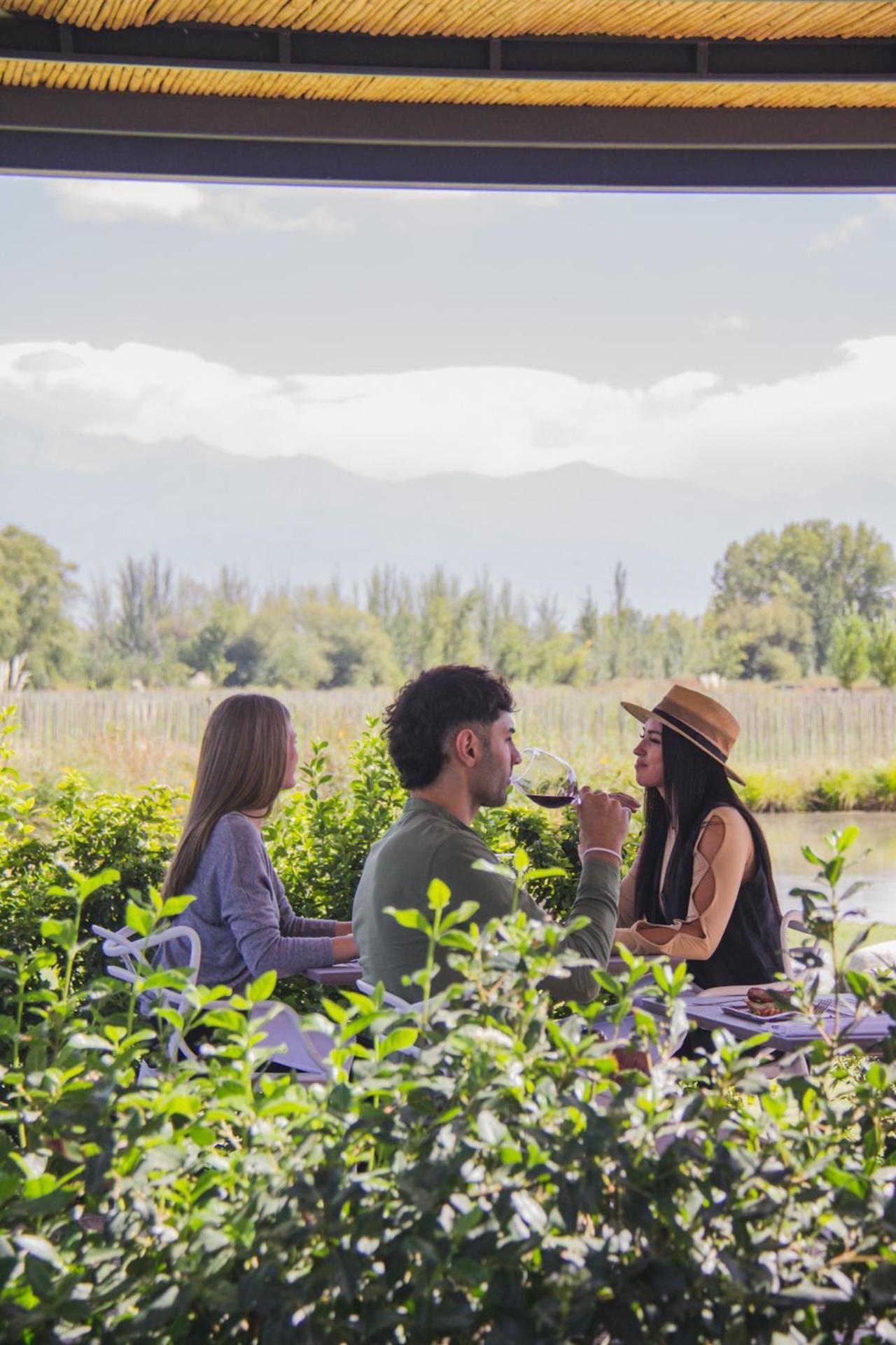 Postales Boutique Winery Hotel - Valle De Uco Colonia Las Rosas Eksteriør bilde