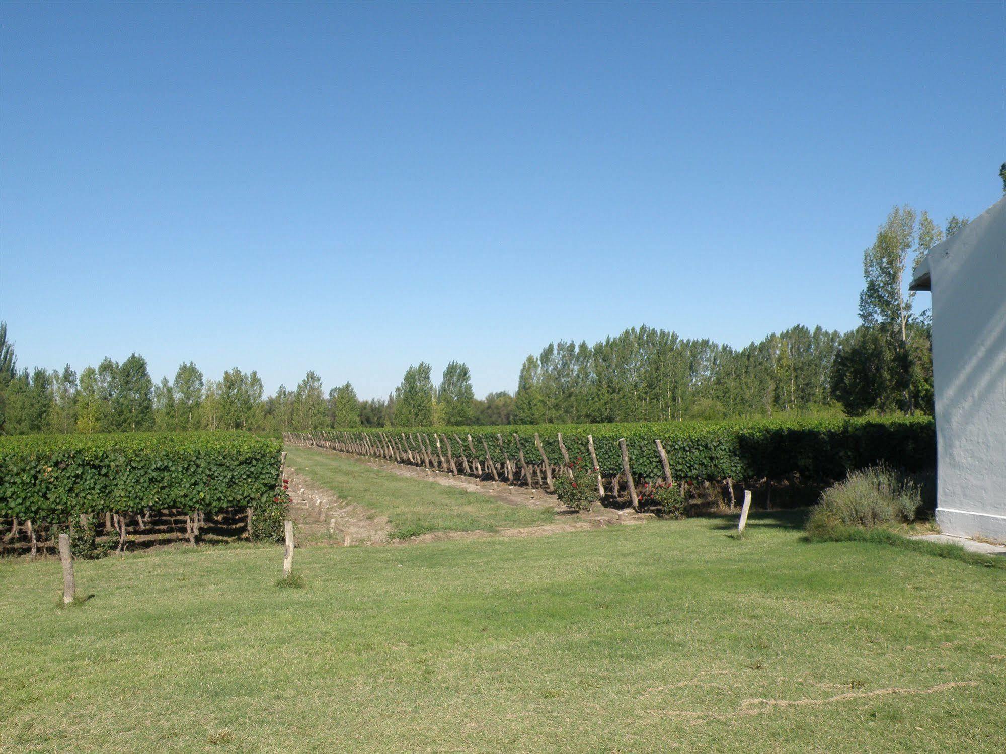 Postales Boutique Winery Hotel - Valle De Uco Colonia Las Rosas Eksteriør bilde