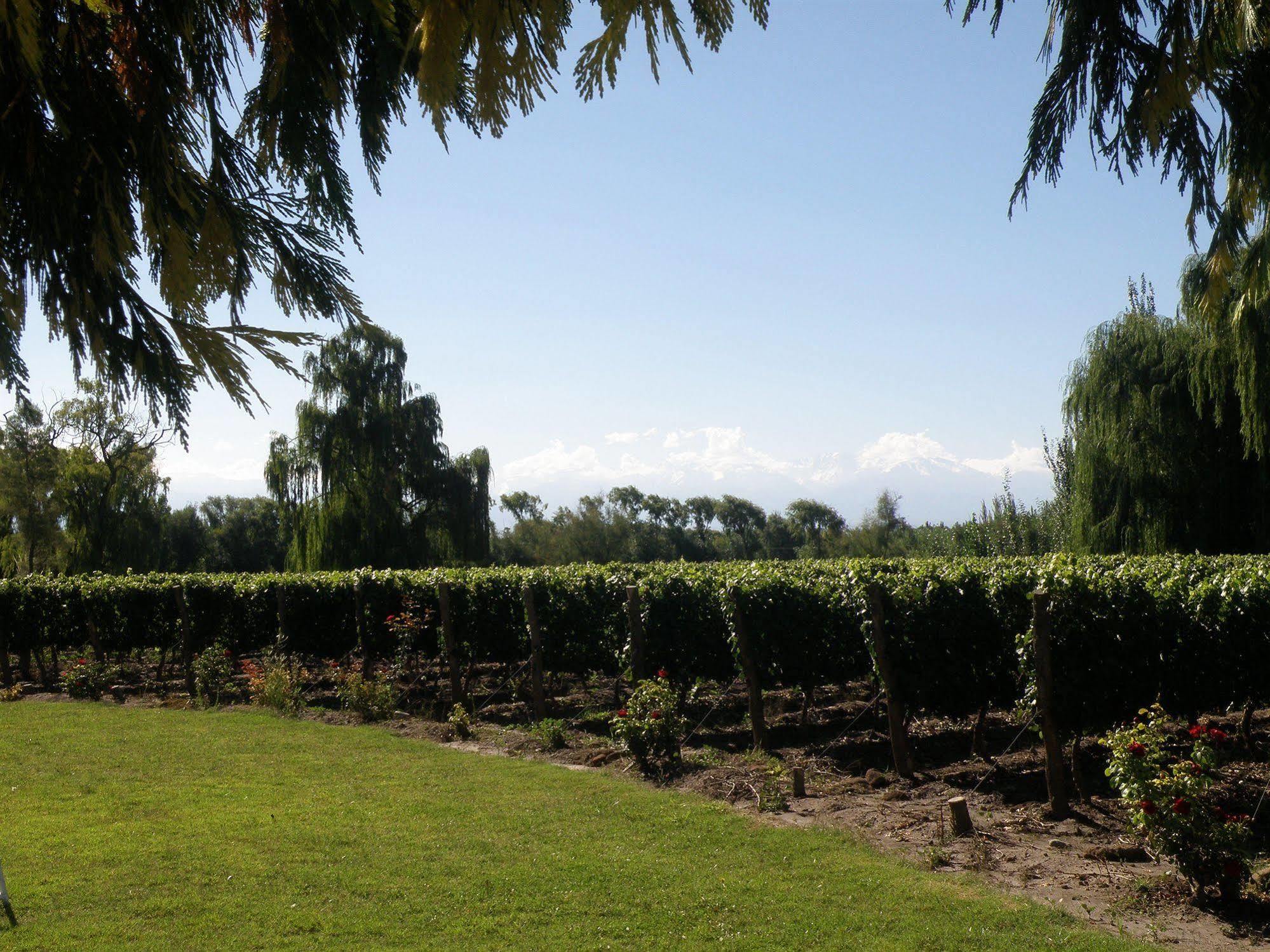 Postales Boutique Winery Hotel - Valle De Uco Colonia Las Rosas Eksteriør bilde