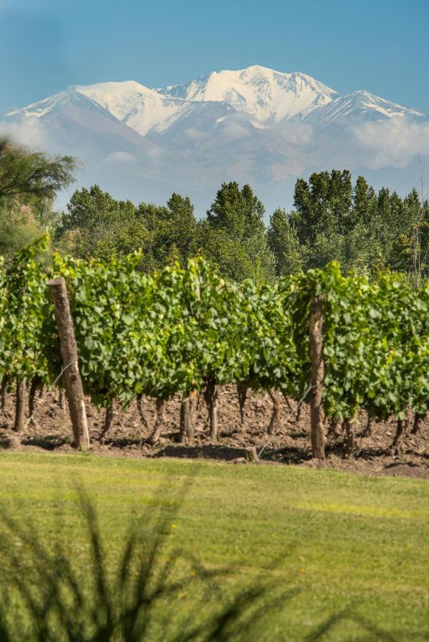 Postales Boutique Winery Hotel - Valle De Uco Colonia Las Rosas Eksteriør bilde